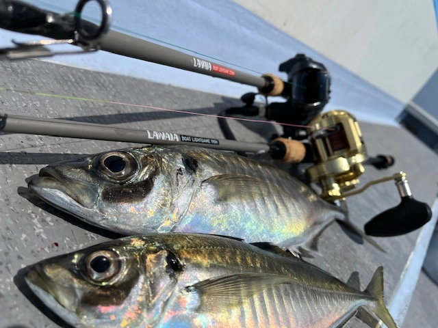 コスパ最強で釣果抜群！★エビ針ジグ★魚釣り 船釣り 仕掛け ★送料無料★ コスパ最強で釣果抜群！☆エビ針ジグ☆魚釣り 船釣り 仕掛け
